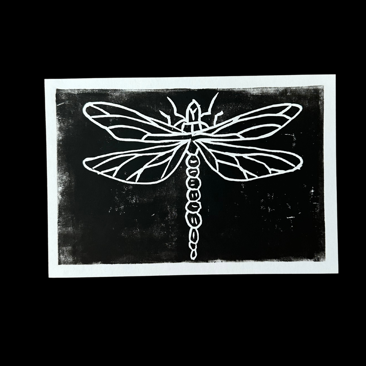 Whimsical Dragonfly Print